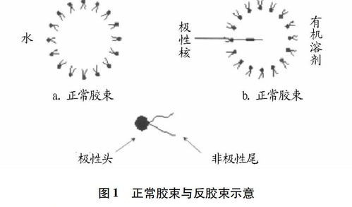 反膠束水合萃取技術在生物工程領域的研究進展