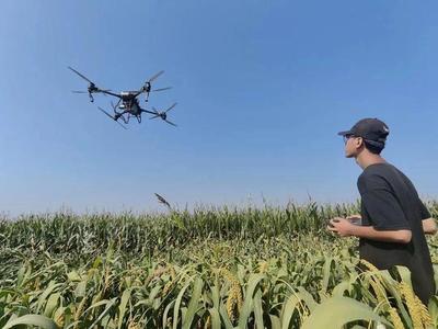 無人機飛防 護衛玉米穩產豐收的農業機械新力量