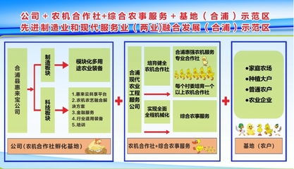 依托農機生產企業 打造社會化服務新模式——記合浦縣惠強農機服務專業合作社農業機械服務