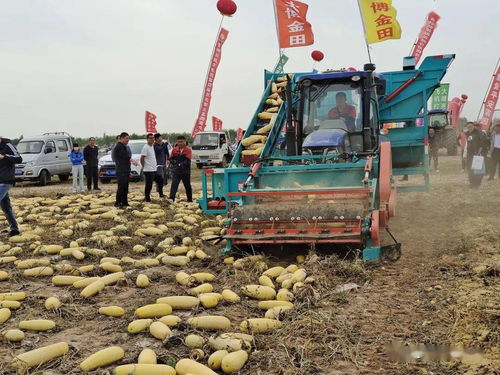 聚焦綠色農(nóng)業(yè) 第四屆中國農(nóng)機(jī)那達(dá)慕暨殘膜機(jī)械回收現(xiàn)場會(huì)在臨河開幕